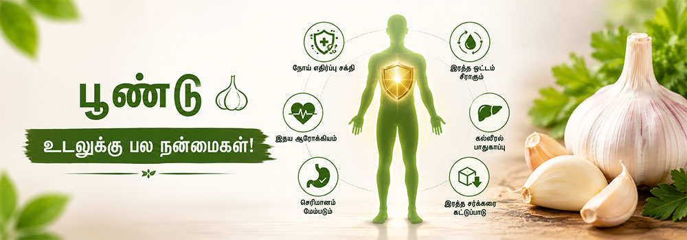 உடலுக்கு நன்மை தரும் பூண்டு