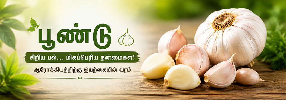 ஆரோக்கியத்திற்கு நல்ல பூண்டு பற்கள்
