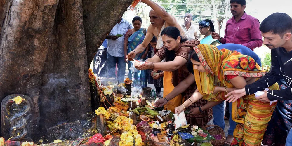 நாக பஞ்சமி பால் ஊற்றும் வழிபாடு