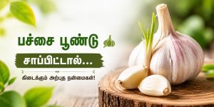வெறும் வயிற்றில் பச்சை பூண்டு சாப்பிடும் நன்மைகள்