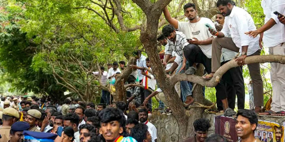 த.வெ.க ஆதரவாளர்கள் கொண்டாட்டம்
