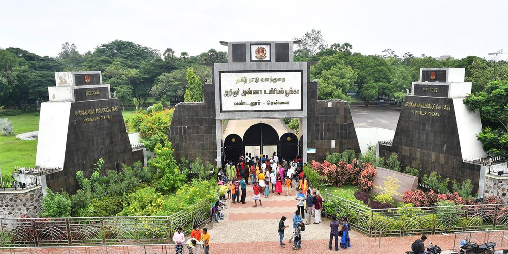 வண்டலூர் உயிரியல் பூங்காவில் சுற்றும் சுற்றுலா பயணிகள்