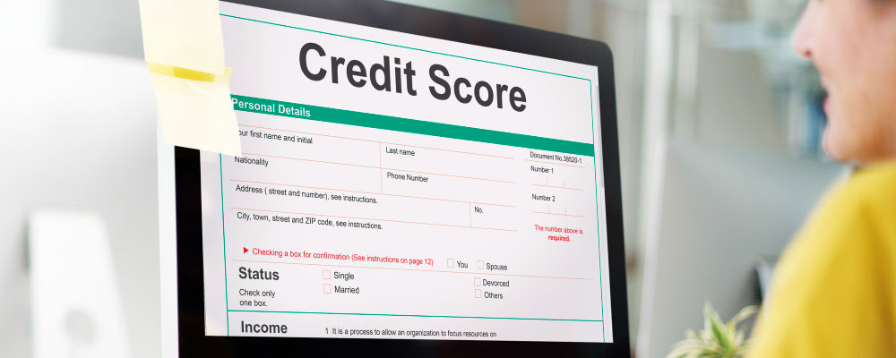 CIBIL Score Guide