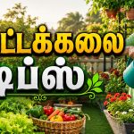 Gardening Tips வீட்டுத் தோட்டம் வளர்க்கும் குறிப்புகள்