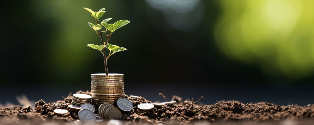 Mutual Fund Guide