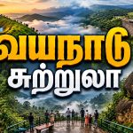 Wayanad Tourist Places beautiful tourist attractions in Wayanad