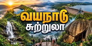 Wayanad Tourist Places beautiful tourist attractions in Wayanad
